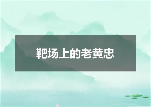 靶场上的老黄忠