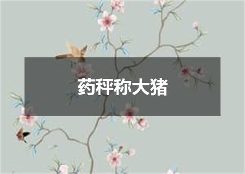 药秤称大猪