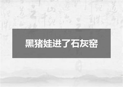 黑猪娃进了石灰窑