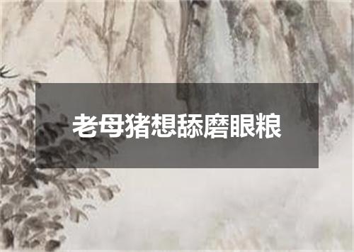老母猪想舔磨眼粮