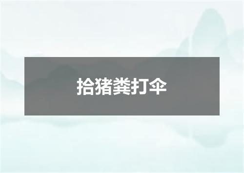 拾猪粪打伞