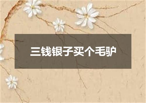 三钱银子买个毛驴