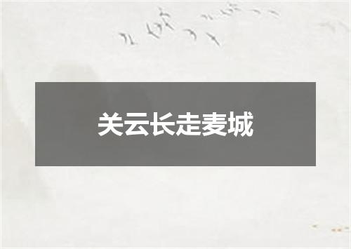 关云长走麦城