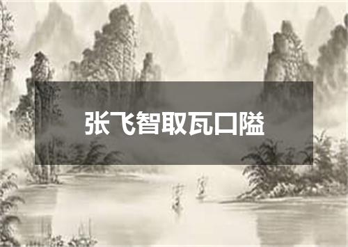 张飞智取瓦口隘