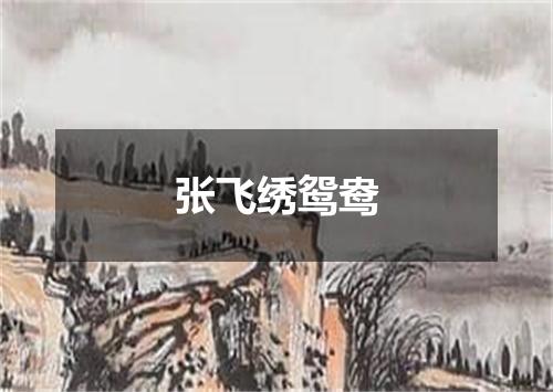 张飞绣鸳鸯