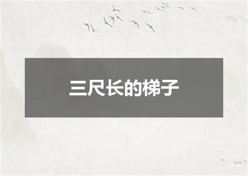 三尺长的梯子