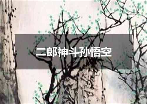 二郎神斗孙悟空