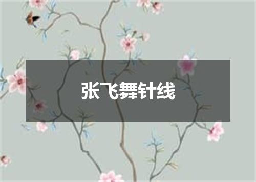 张飞舞针线