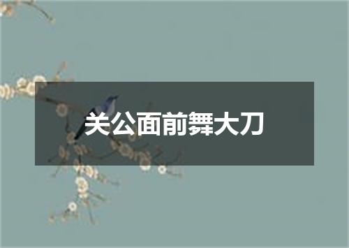 关公面前舞大刀
