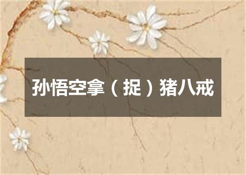 孙悟空拿（捉）猪八戒