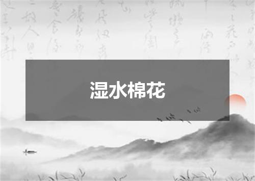 湿水棉花