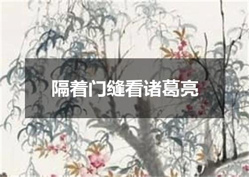 隔着门缝看诸葛亮