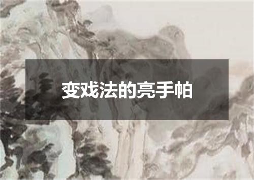 变戏法的亮手帕
