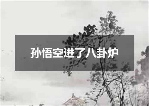 孙悟空进了八卦炉