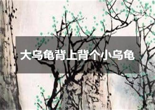 大乌龟背上背个小乌龟
