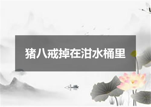 猪八戒掉在泔水桶里