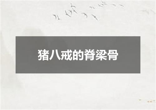 猪八戒的脊梁骨