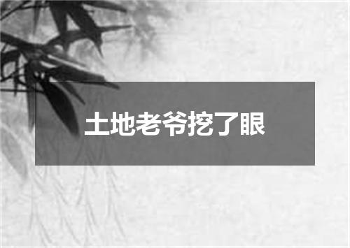 土地老爷挖了眼