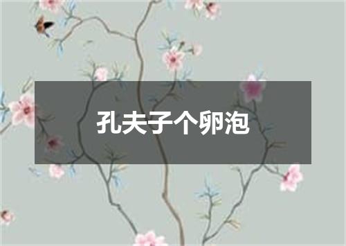 孔夫子个卵泡