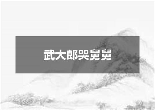 武大郎哭舅舅