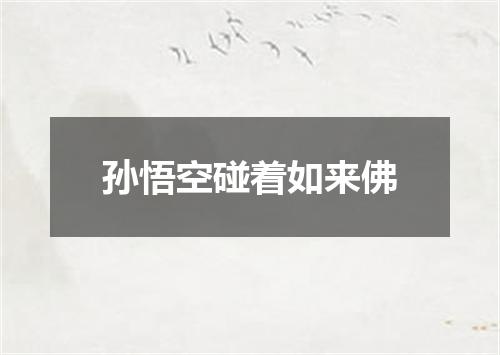 孙悟空碰着如来佛
