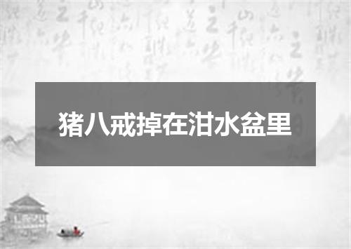 猪八戒掉在泔水盆里
