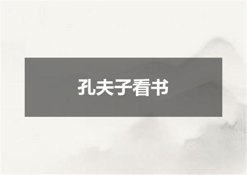 孔夫子看书