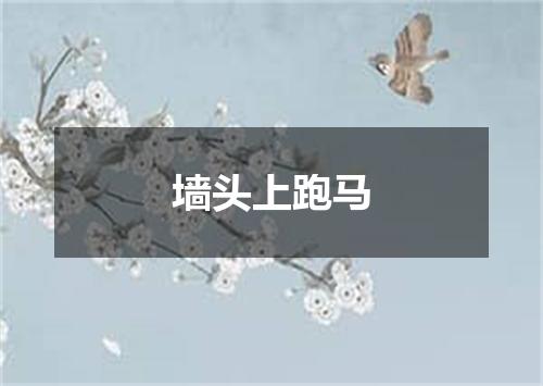 墙头上跑马