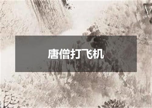 唐僧打飞机