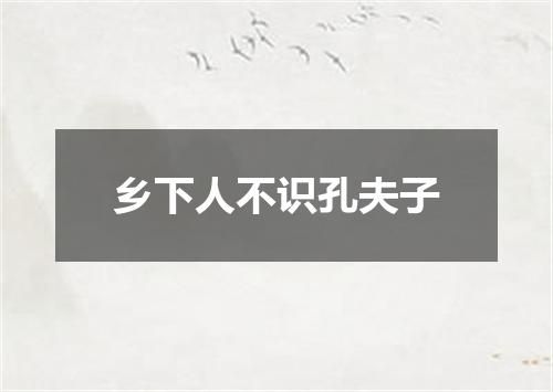 乡下人不识孔夫子
