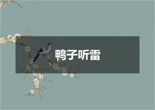 鸭子听雷