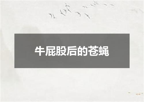 牛屁股后的苍蝇