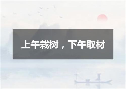 上午栽树，下午取材