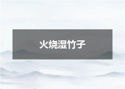 火烧湿竹子