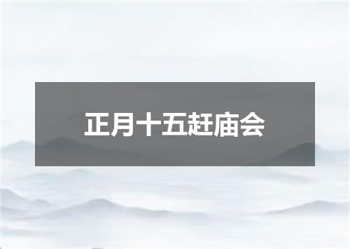 正月十五赶庙会