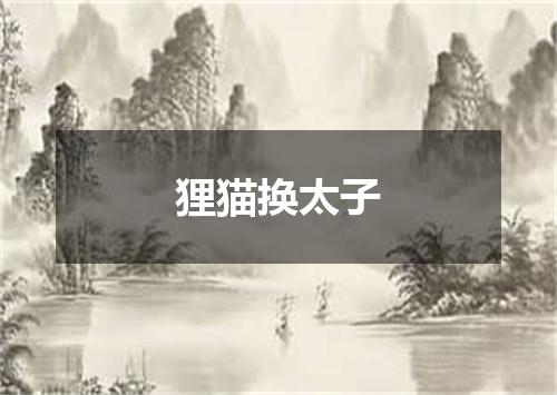 狸猫换太子