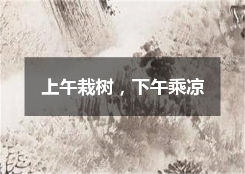 上午栽树，下午乘凉