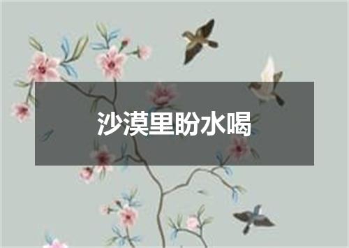 沙漠里盼水喝