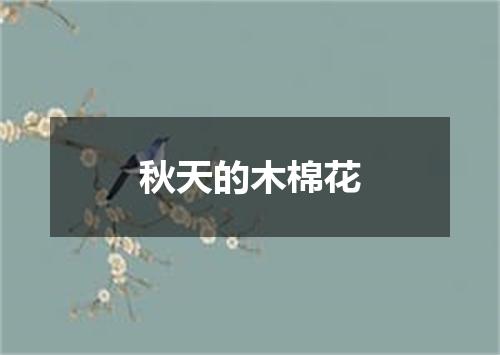 秋天的木棉花