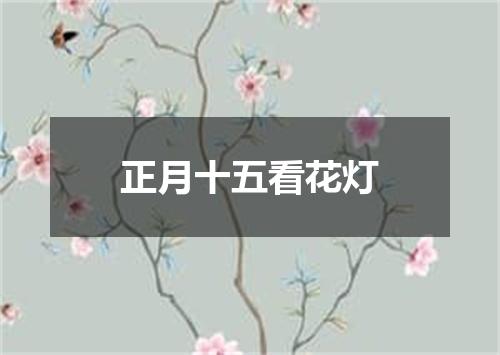 正月十五看花灯