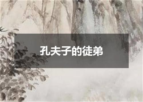 孔夫子的徒弟