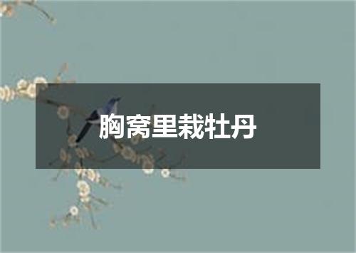 胸窝里栽牡丹