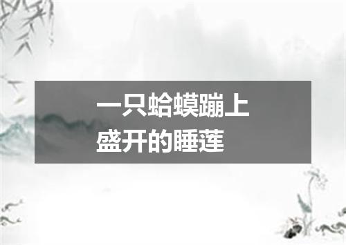 一只蛤蟆蹦上盛开的睡莲