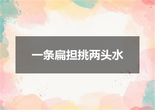 一条扁担挑两头水