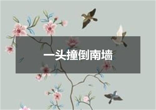 一头撞倒南墙