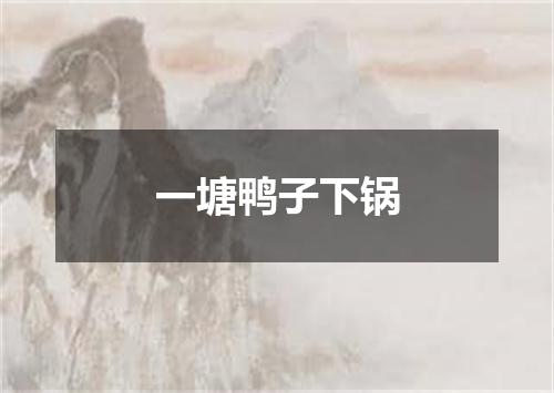 一塘鸭子下锅