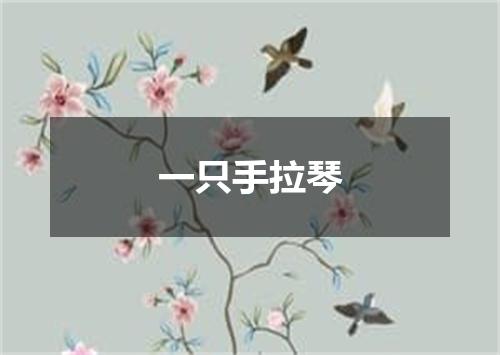 一只手拉琴