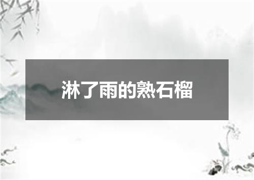 淋了雨的熟石榴