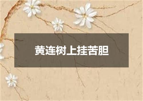 黄连树上挂苦胆