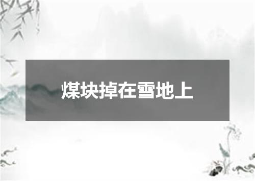 煤块掉在雪地上